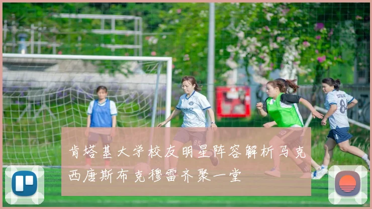 肯塔基大学校友明星阵容解析马克西唐斯布克穆雷齐聚一堂