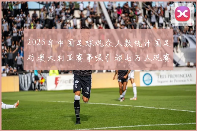2025年中国足球观众人数统计国足对澳大利亚赛事吸引超七万人观赛