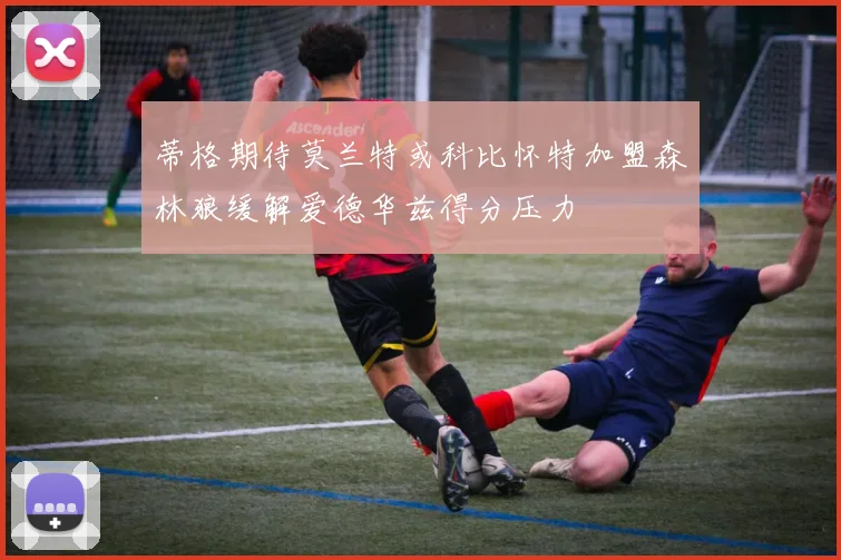 蒂格期待莫兰特或科比怀特加盟森林狼缓解爱德华兹得分压力
