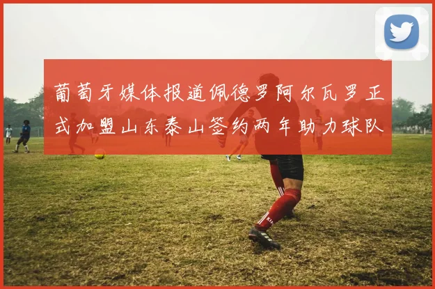 葡萄牙媒体报道佩德罗阿尔瓦罗正式加盟山东泰山签约两年助力球队发展